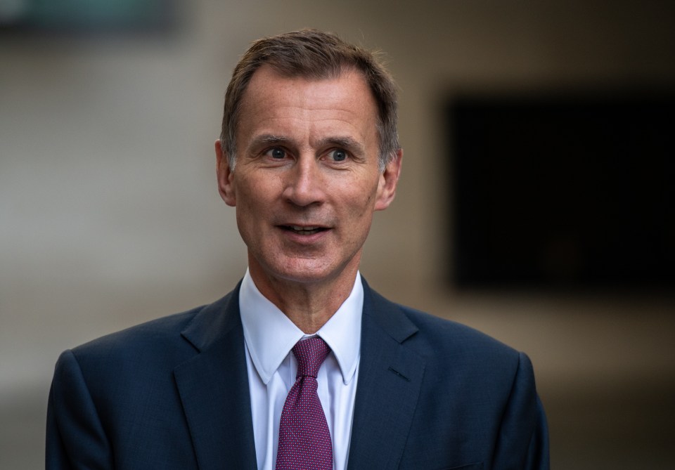 Chancellor Hunt will unveil his back-to-work Budget to help get the over-50s working again