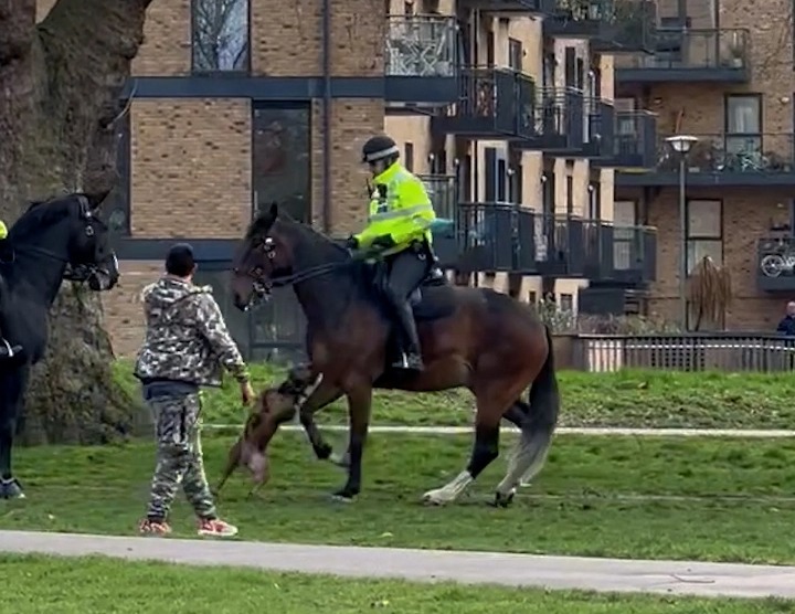 The horror unfolded at Victoria Park in Hackney, East London