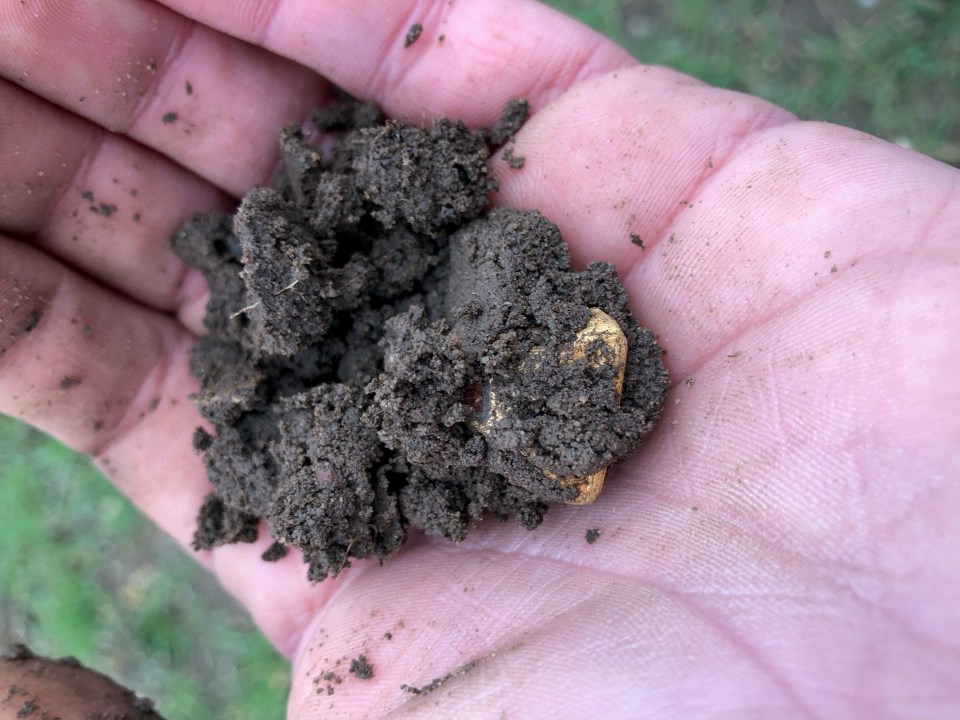 Fraser pulled up a clump mud and let out a huge cheer when he saw a glint of gold in the middle of it