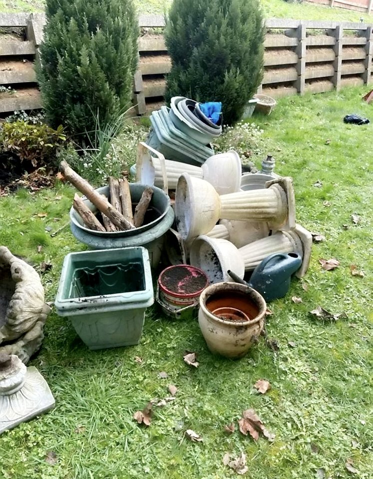 The gran claims her potted plants were torn up