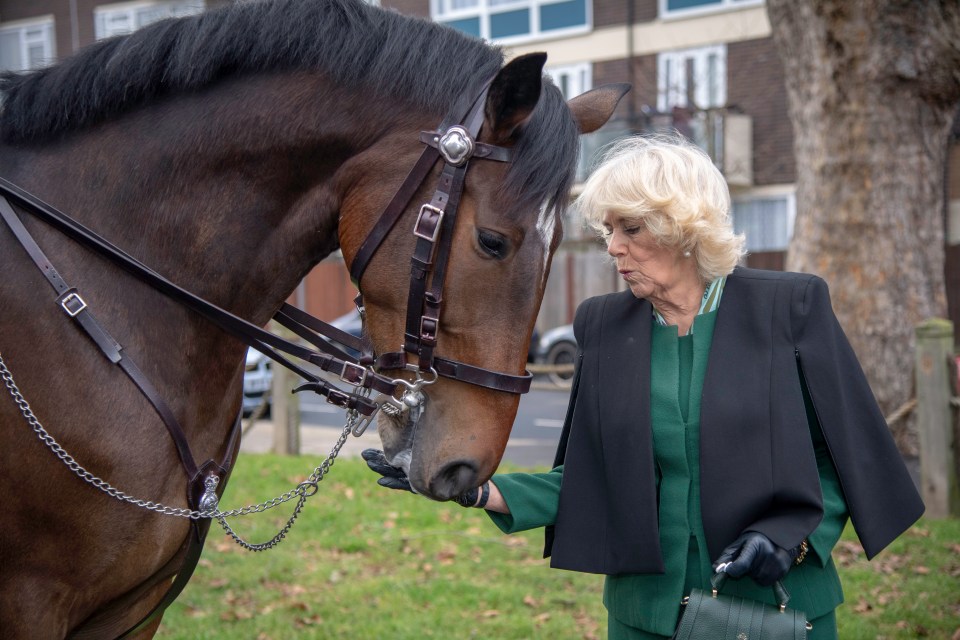 Queen Camilla met police horse Urbane in 2019