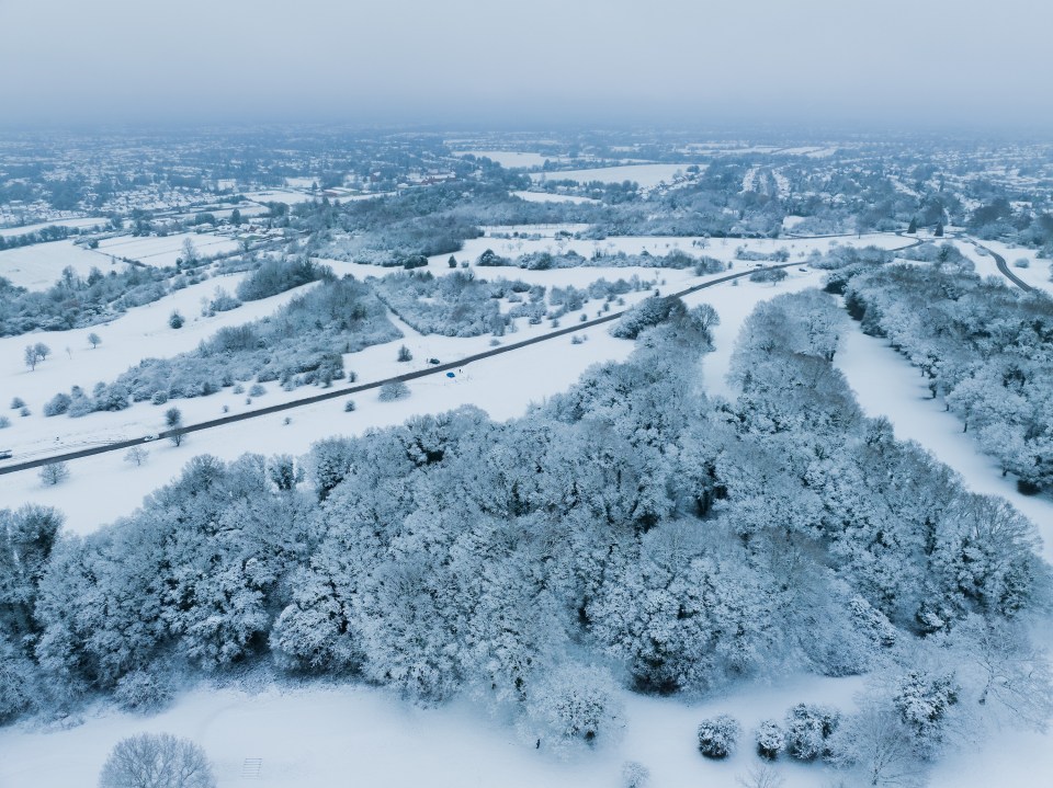 Snow blankets the trees on the golf course on Epsom Downs in Surrey