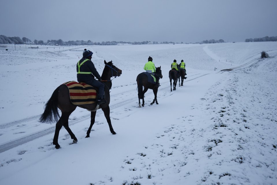 Horseriders out on the snowy Epsom Downs in Surrey