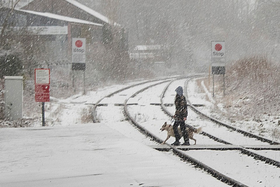 A man and dog cross the railway line at Llanwrtyd Wells station in Powys