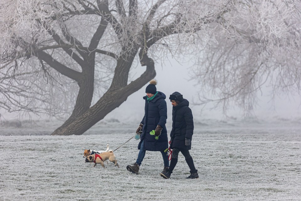 The north and the western hills is also expected to see some snowfall tomorrow