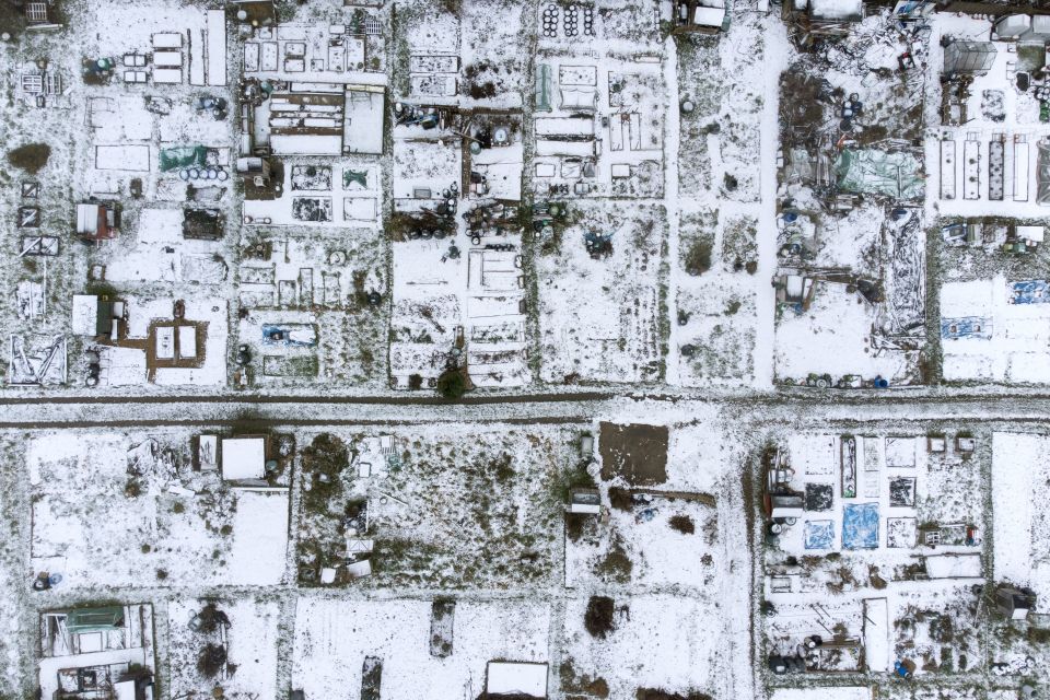 Snow covered allotments in Stevenage, Hertfordshire