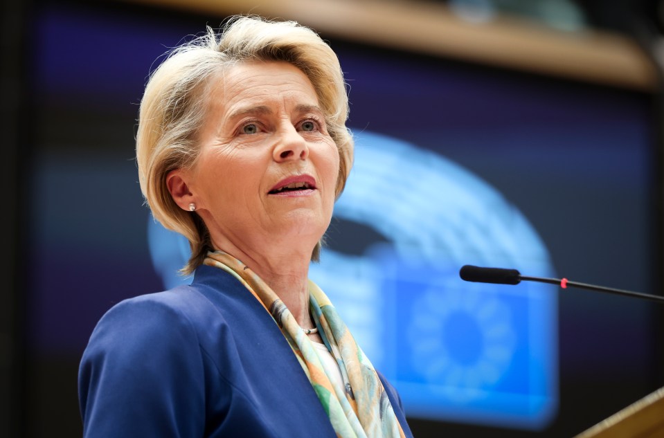 European Commission President Ursula von der Leyen has thrown her hat in the ring to become next Nato chief