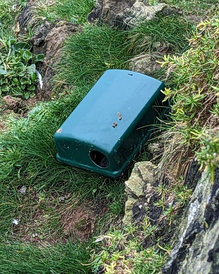 Vermin control boxes have been placed around Castle Hillion in an attempt to drive the rats away