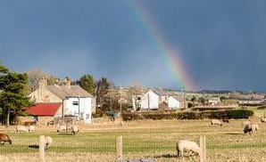 You can spend the night on a working cheese farm