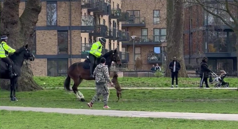 The two officers screamed for the owner to put the hound on a lead