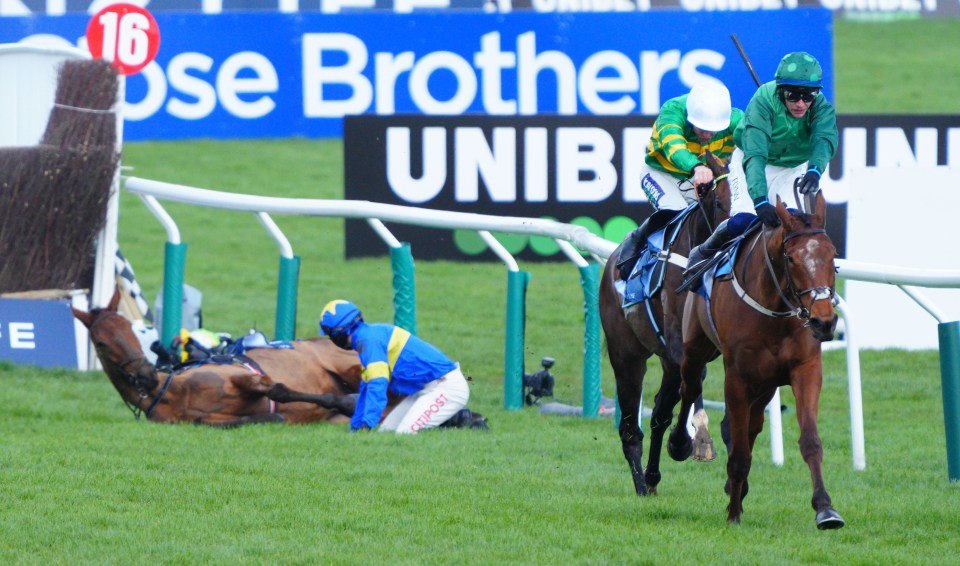 Dysart Dynamo fell awkwardly on the last hurdle at Cheltenham