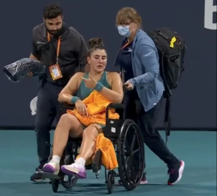 Andreescu was taken from the court in a wheelchair