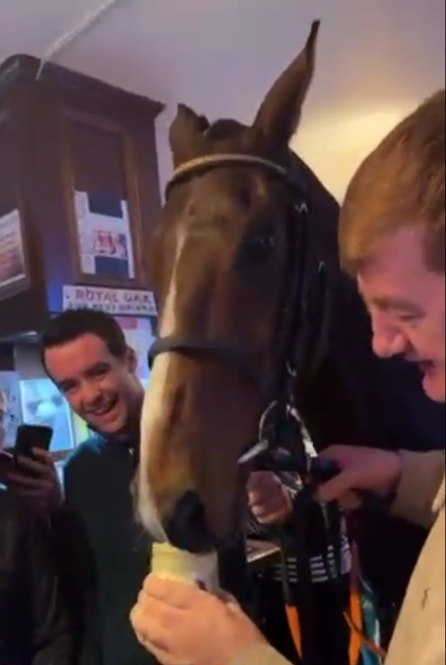 The horse had a slurp of his pint of Guinness