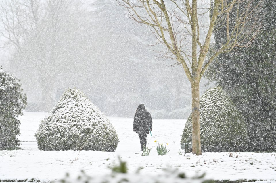 A dog walker surrounded by snow in Longton Park, Stoke-on-Trent, Staffordshire