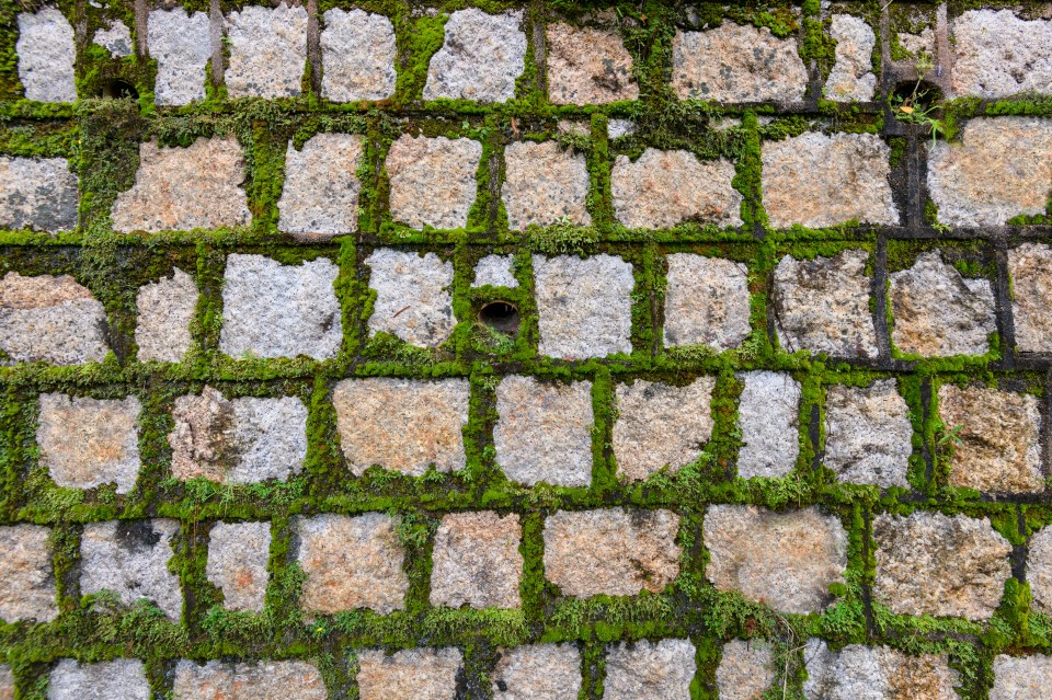 Mrs Hinch fans have given their top suggestion for tackling moss between paving stones