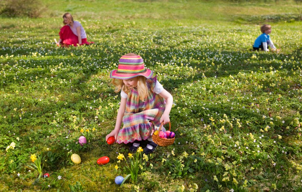 A mum found bargain Easter eggs perfect for an Easter egg hunt this year