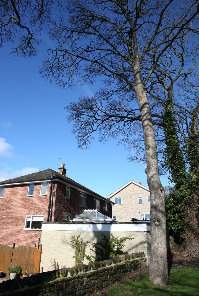 The pair fear the tree or its branches are going to come down on their beloved house and render them homeless