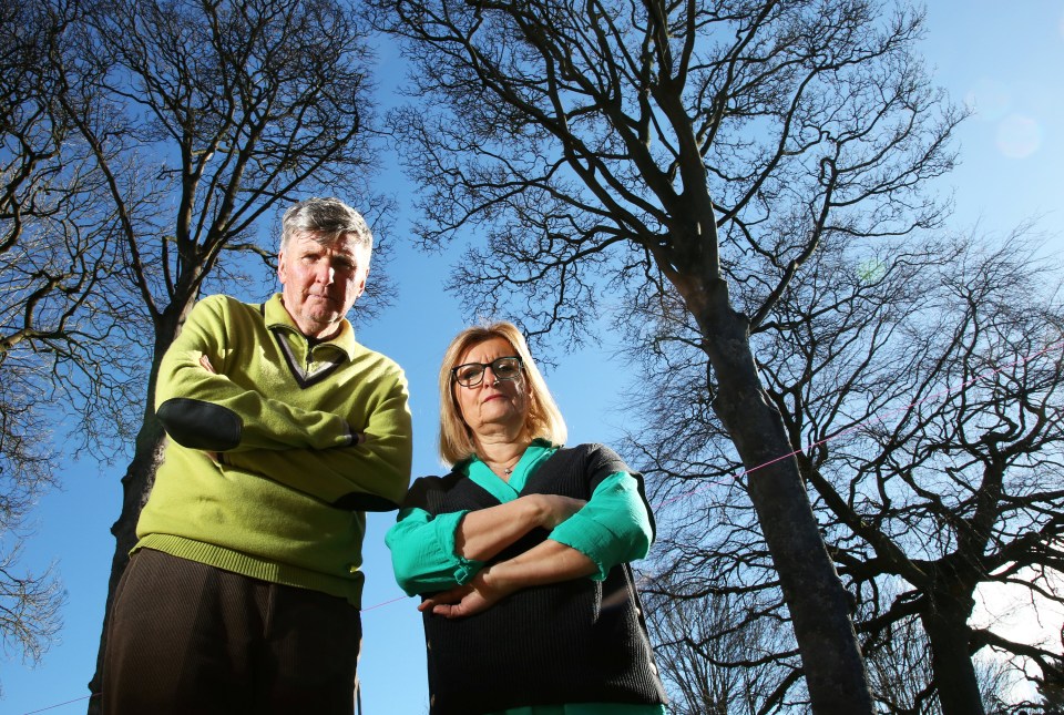 Brian Tempest, 73, and Susan Dickerson, 60, are stuck in a bitter feud with their council over massive trees that tower their home