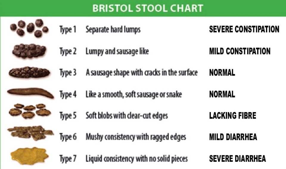 The Bristol Stool Chart