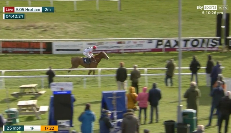 Look closely and you can see why punters were so shocked as Chance The Robin won a bumper at Hexham