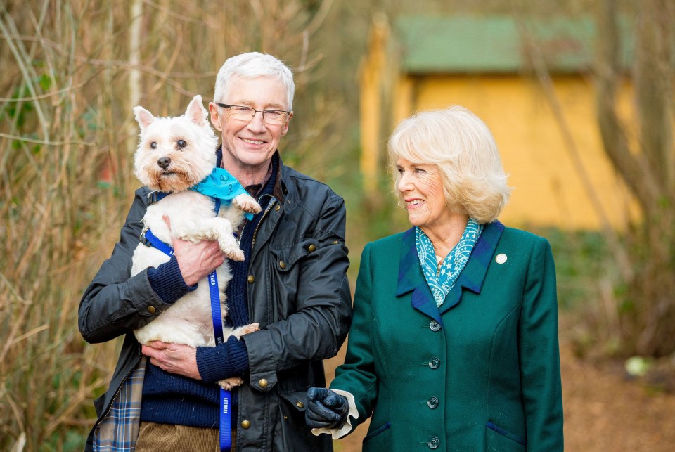 Her Majesty Camilla Queen Consort beamed last year as she joined Battersea Ambassador Paul and George the West Highland White Terrier