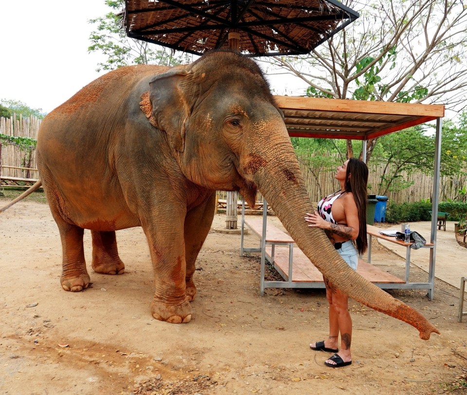 She met one of the residents on her trip to Thailand, which ended last week