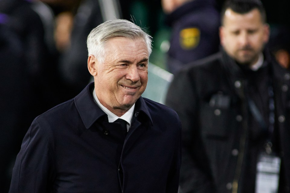 Carlo Ancelotti could leave Real Madrid at the end of the season