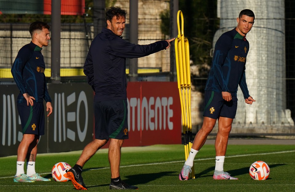 Icon Ronaldo, right, is playing on for Portugal, having won 196 caps