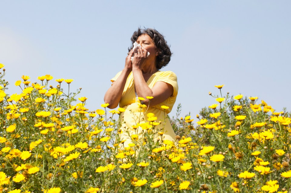 A fifth of Brits are affected by hayfever at some point in their lives