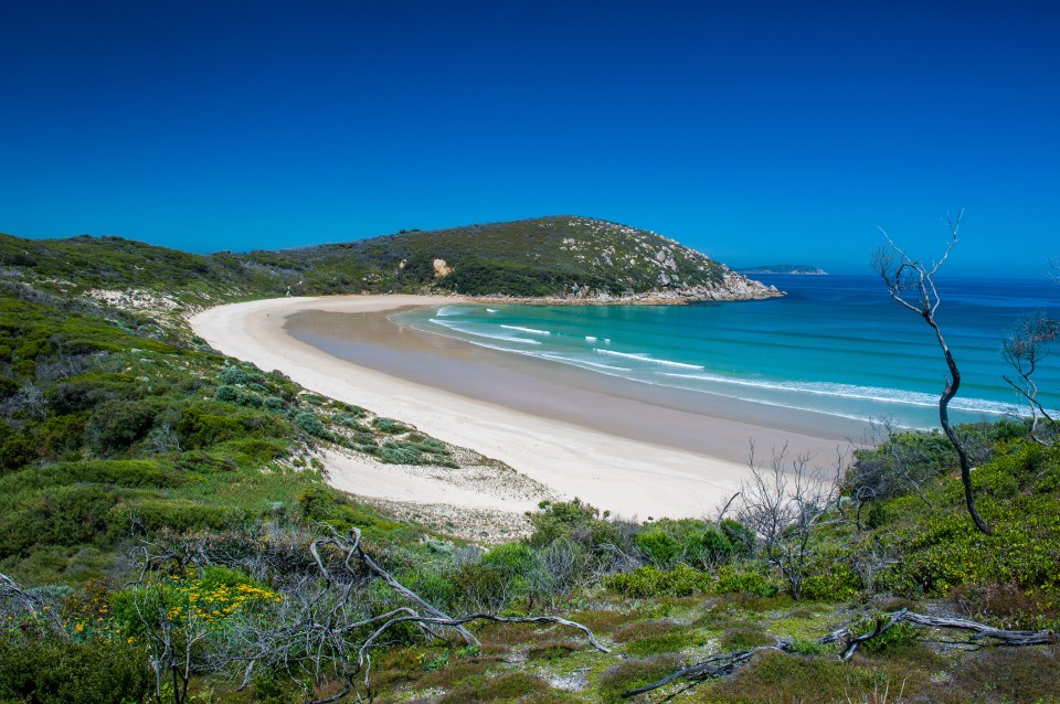 The national park is a hotspot for tourists due to its prime location on the coast