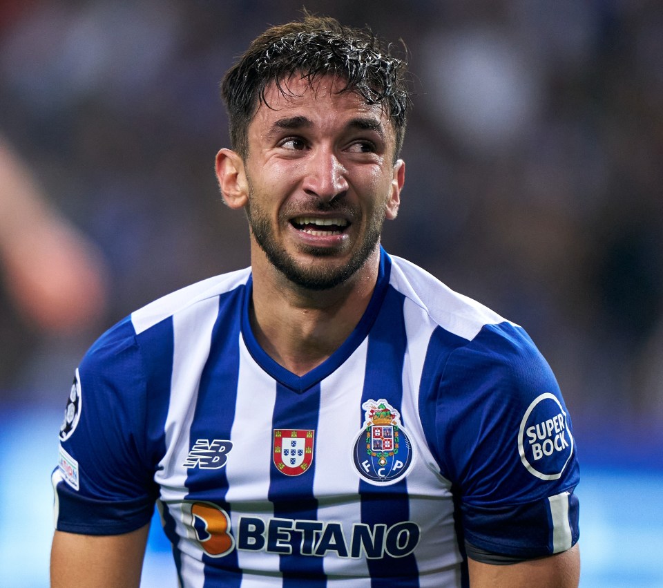 Marko Grujic has been at Porto since 2020