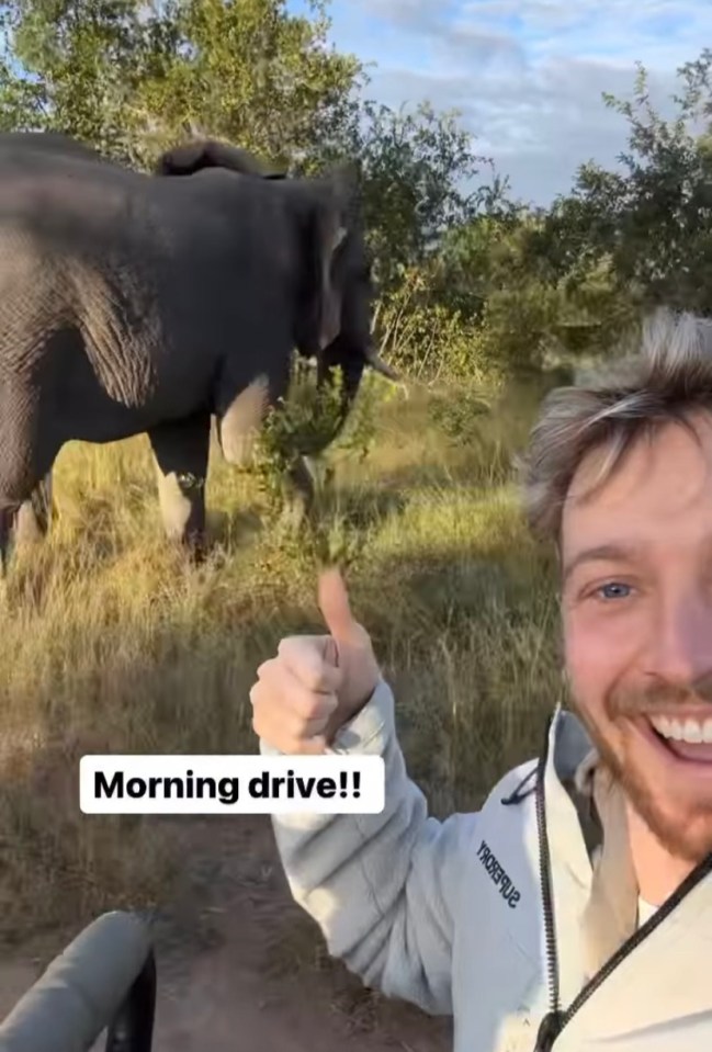 Sam was thrilled to spot an elephant in the wild