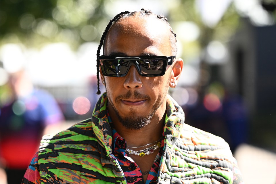 Lewis Hamilton revealed a run-in he had with a shark