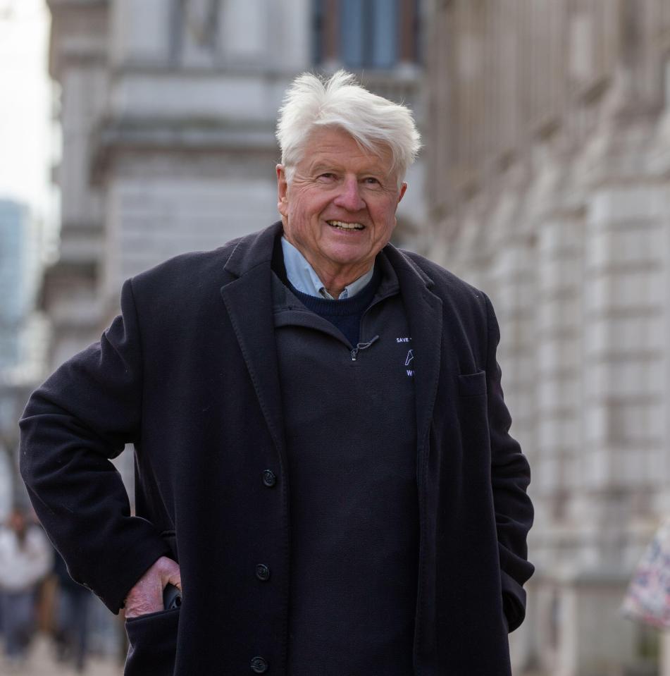 Stanley Johnson has been nominated for a knighthood, thanks to son Boris