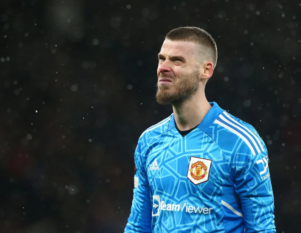 De Gea was wound up by his team-mates' opinion