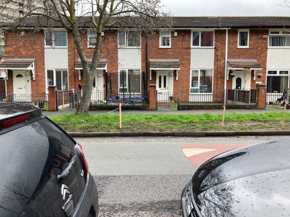 The fence has stopped drivers parking on the grass verge