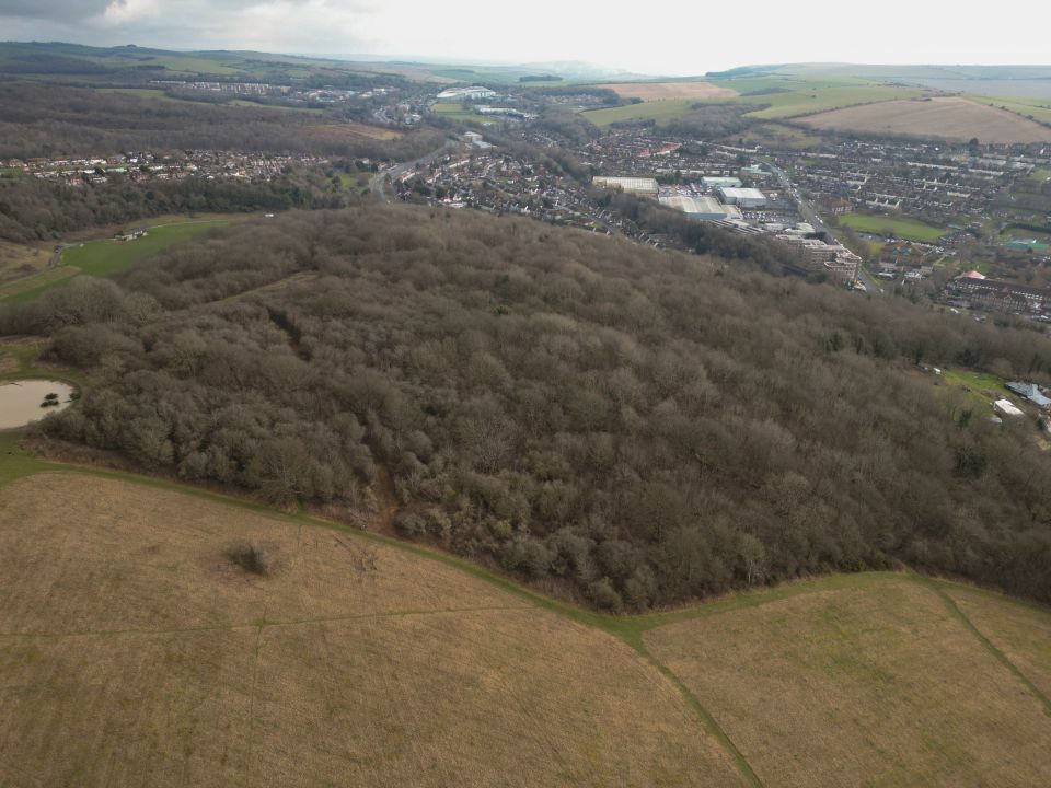 Huge searches across 91-square miles of East Sussex are taking place as they search for the newborn