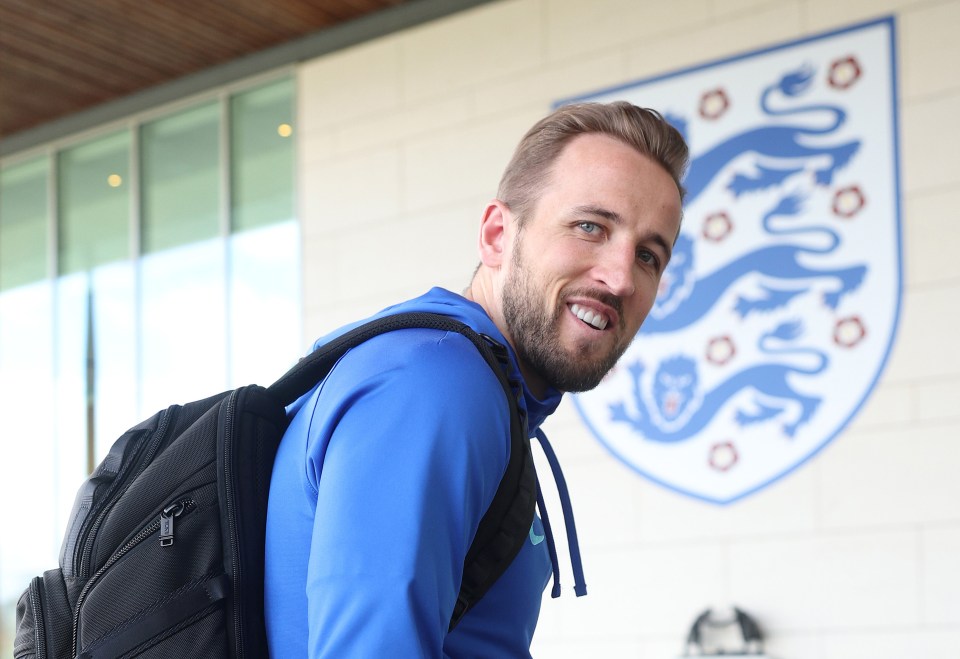 Harry Kane might see England duty as a distraction to the troubles at Spurs