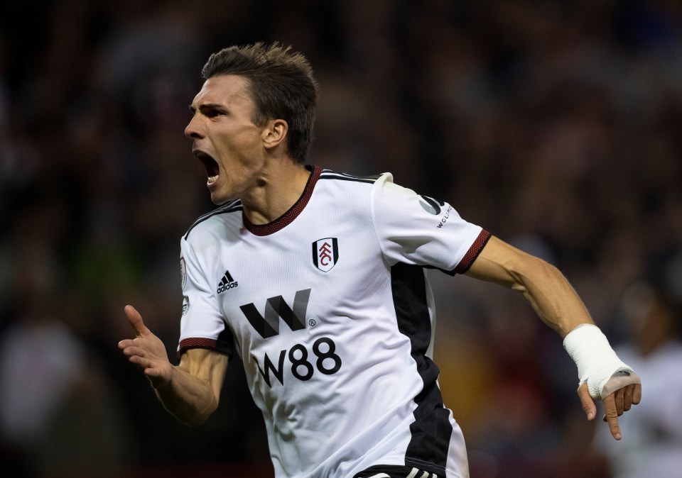 Joao Palhinha has starred at Fulham this season