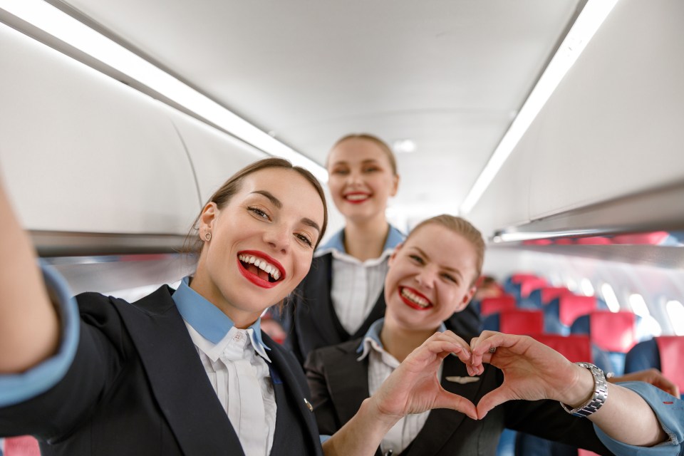 Some flight attendants seem to care more about Tiktok than their actual jobs (stock image)