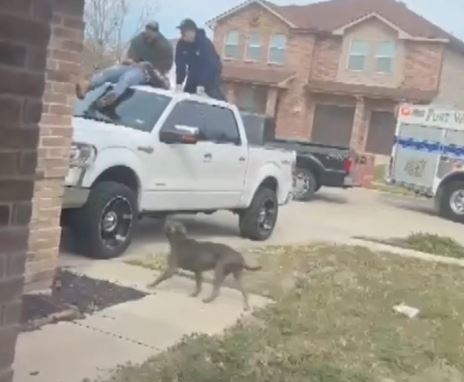 First responders treat injured Marcus as one dog prowls nearby