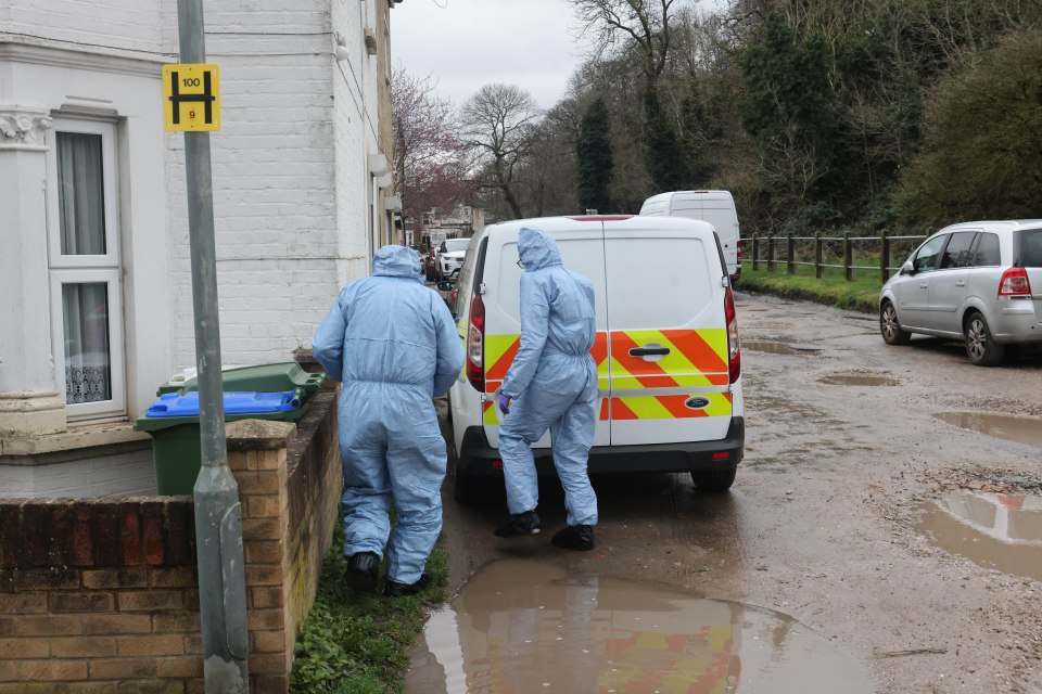 Forensic officers at the scene in Belvedere