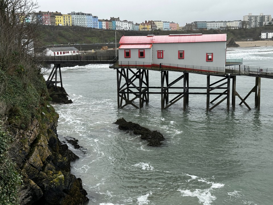 Roger fears the rats could cause damage to the cliffs in Tenby