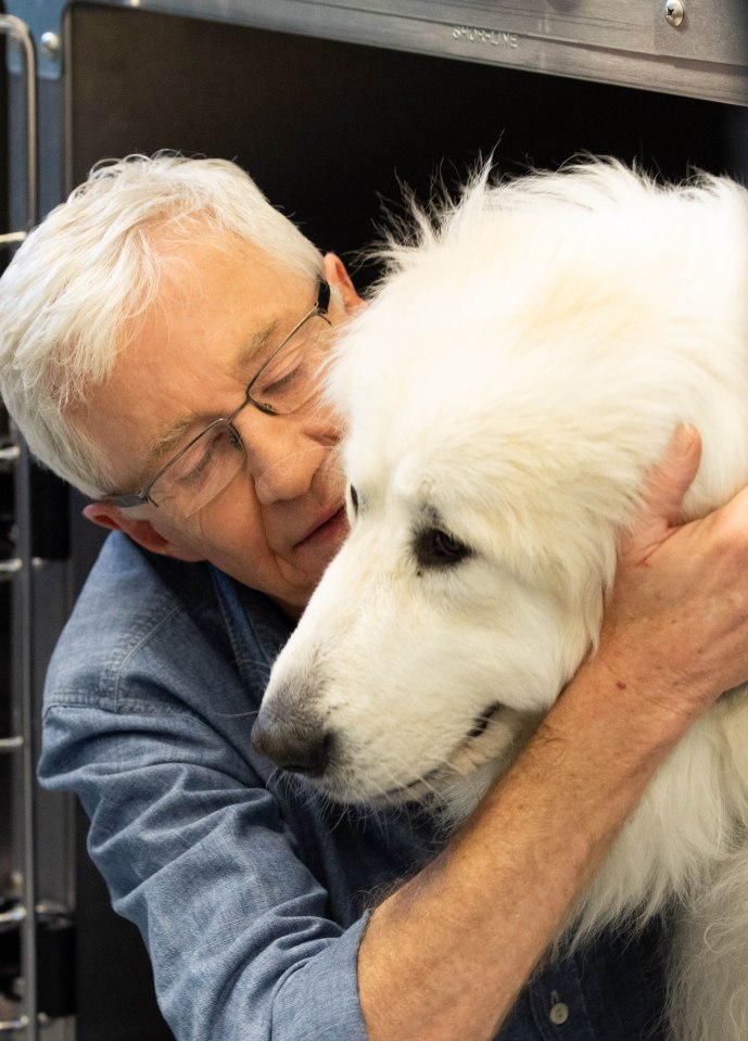 The star was an ambassador for Battersea Dogs and Cats Home