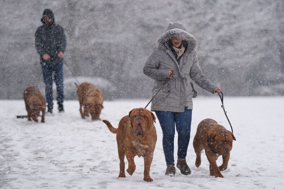 People arrive with dogs at the Crufts Dog Show at the National Exhibition Centre in Birmingham