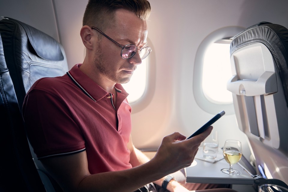 The man complained online after being ignored by cabin crew (stock image)