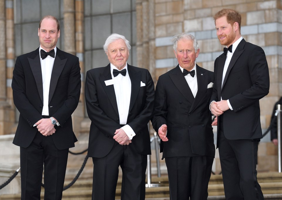 A visit with Charles and William is not thought to be on the cards