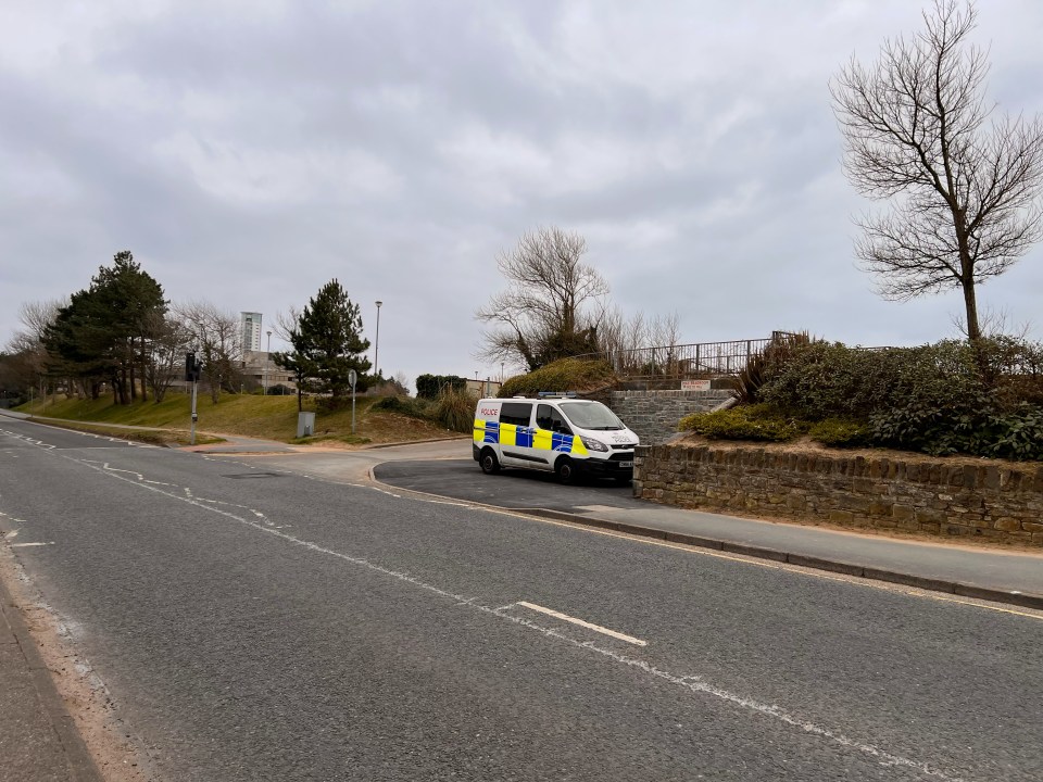 The cafe owner says that a police car is now permanently parked on the road to catch boy racers