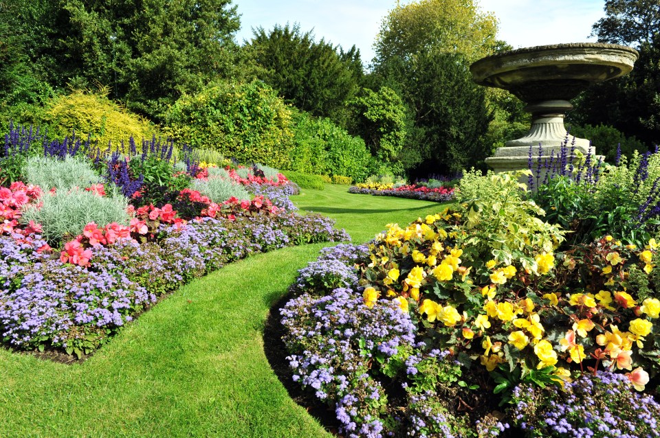 Gardening slashes stress, heart disease, burns calories, lowers blood pressure and improves the immune system and mental health