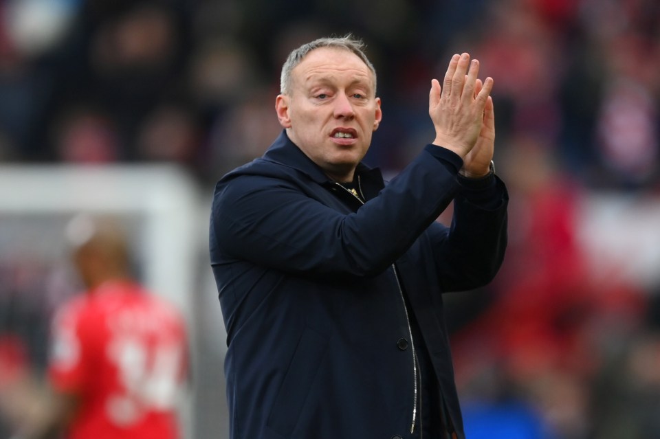 Steve Cooper 'has admirers' at Tottenham